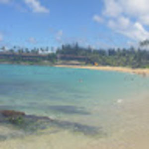 Meet your Posher, Carla